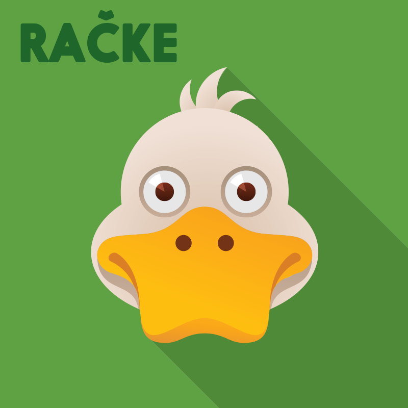 Račke bel1