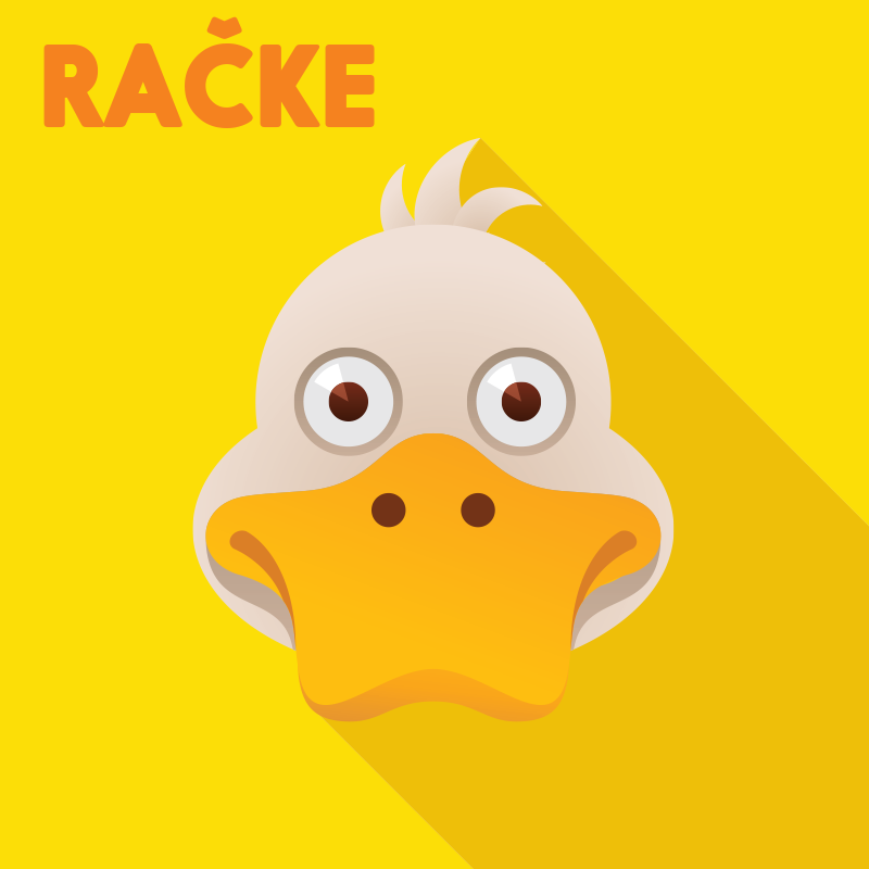Račke P4