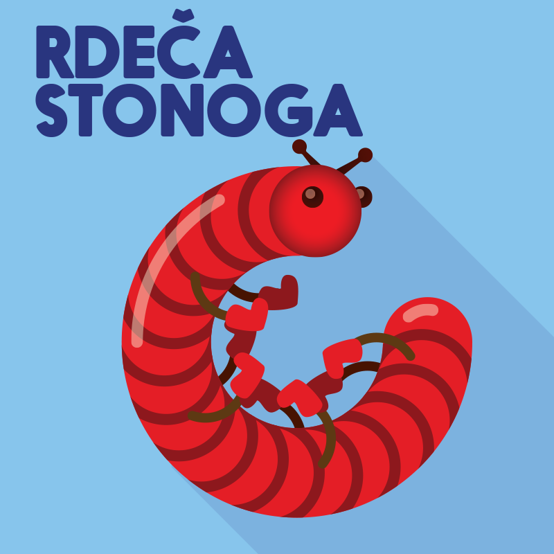 Rdeča stonoga L2