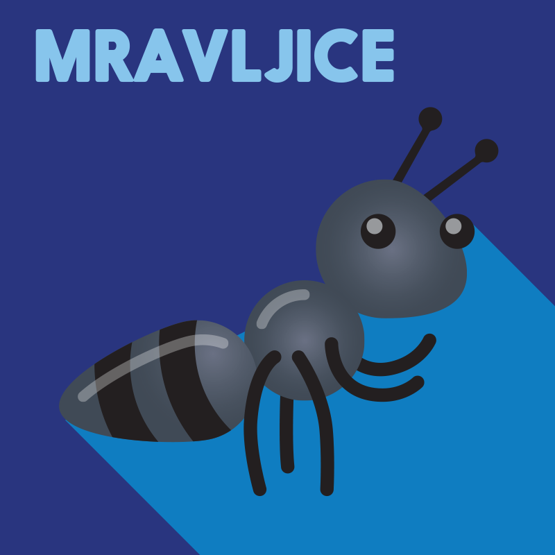 Mravljice A4